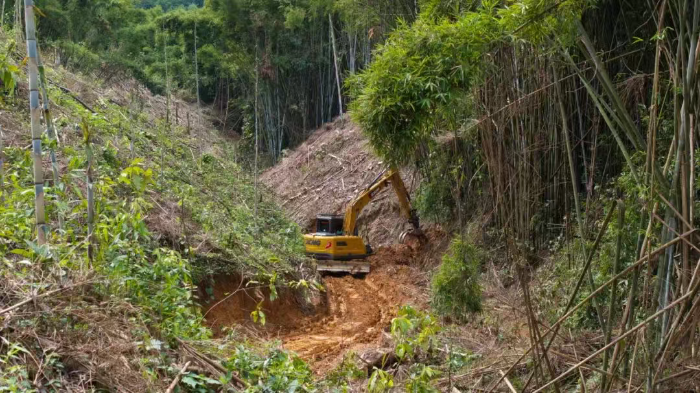 林間“藏龍”，竹?！芭P虎”——徐工林業(yè)挖機(jī)廣西俠客行